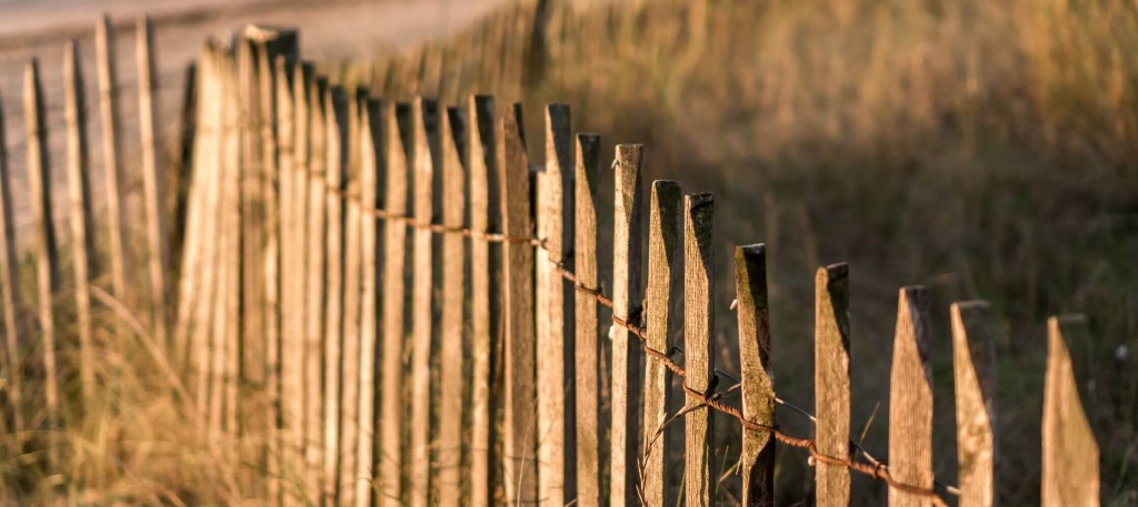 Ganivelle en châtaignier : Une clôture naturelle pour embellir votre jardin