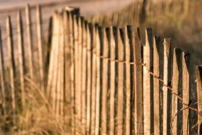Ganivelle en châtaignier : Une clôture naturelle pour embellir votre jardin